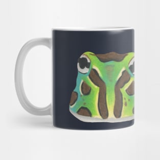 Ornate Horned Frog :: Reptiles and Amphibians Mug